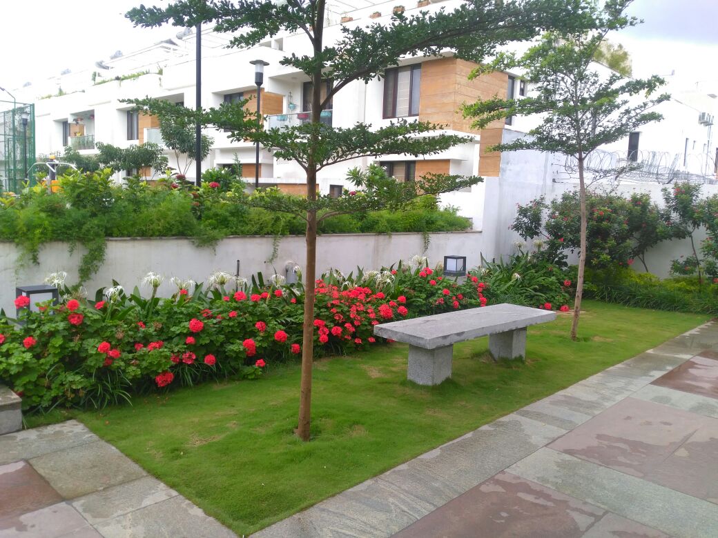 Urban Sanctuary Residential Landscape